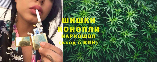 PSILOCYBIN Балабаново