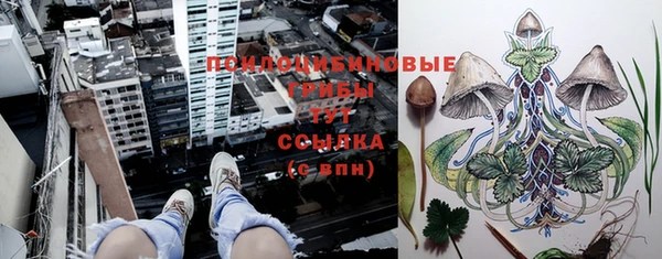 твердый Баксан