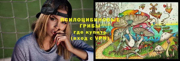 PSILOCYBIN Балабаново