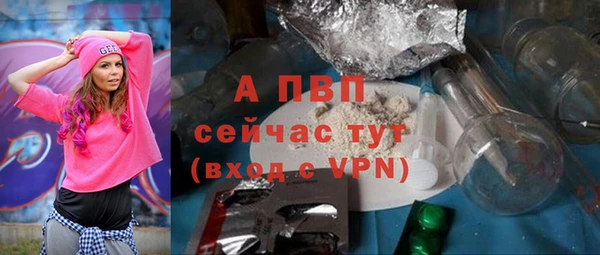 PSILOCYBIN Балабаново