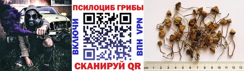 Галлюциногенные грибы GOLDEN TEACHER  Бор 